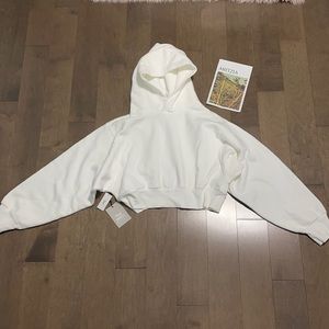 Aritzia perfect shrunken hoodie